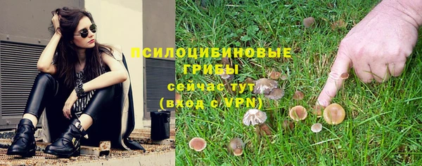 ешки Армянск