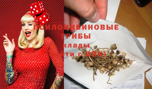ешки Армянск